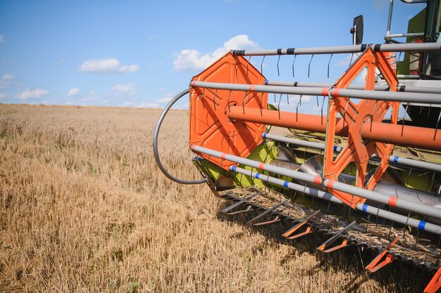 La moissonneuse-batteuse récolte l'agriculture de blé mûr