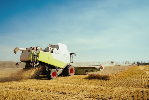 La moissonneuse-batteuse récolte le concept de blé mûr d'une riche image agricole de récolte