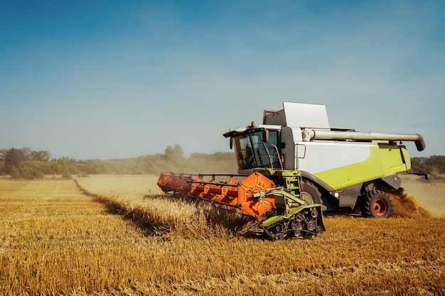 La moissonneuse-batteuse récolte le concept de blé mûr d'une riche image agricole de récolte