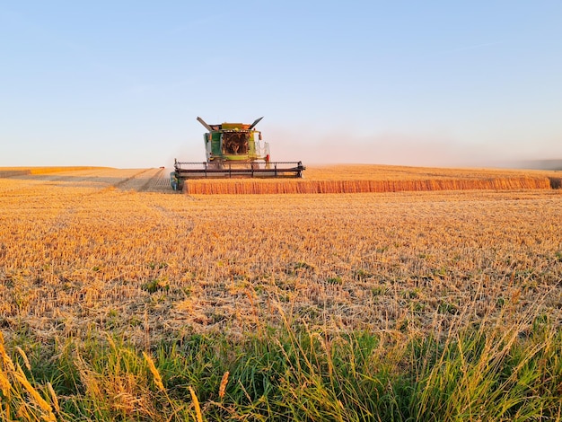 Moissonneuse-batteuse travaillant sur le champ de blé au coucher du soleil Transport agricole moderne Moissonneuse-batteuse Récolte riche Agriculture image