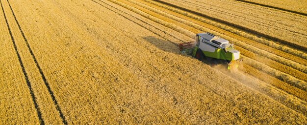 moissonneuse sur le champ de blé depuis la vue de dessus, Drone Shot