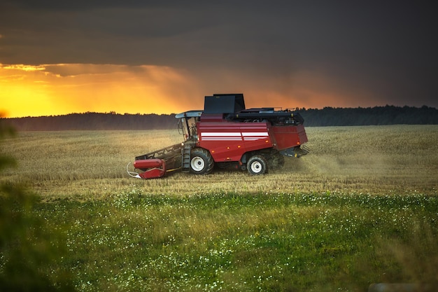 La moissonneuse lourde moderne enlève le pain de blé mûr dans le champ avant la tempête Travaux agricoles saisonniers