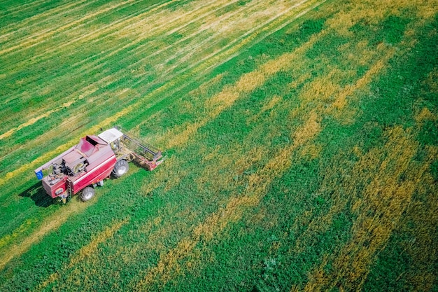 La moissonneuse récolte le blé dans la vue sur le terrain depuis l'altitude de vol