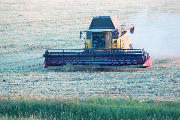 La moissonneuse récolte du blé dans le champ préparation du grain agronomie et agriculture champ récolte transport