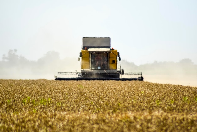 Photo les moissonneuses, les machines agricoles