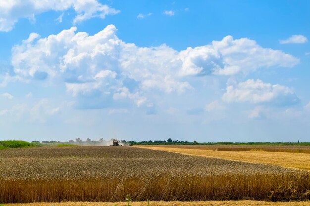 Photo les moissonneuses, les machines agricoles