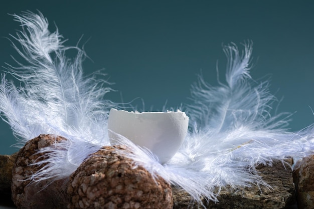 La moitié de l'oeuf de Pâques naturel blanc en plumes blanches sur un fond bleu avec des pierres copyspace concept de Pâques créatif