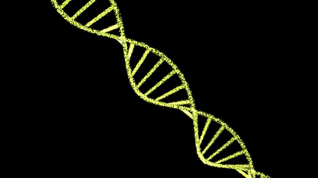 Molécule d'acide désoxyribonucléique d'ADN Molécule d'ADN Structure Brin d'ADN