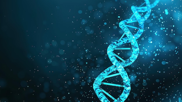 Molécule d'ADN numérisée