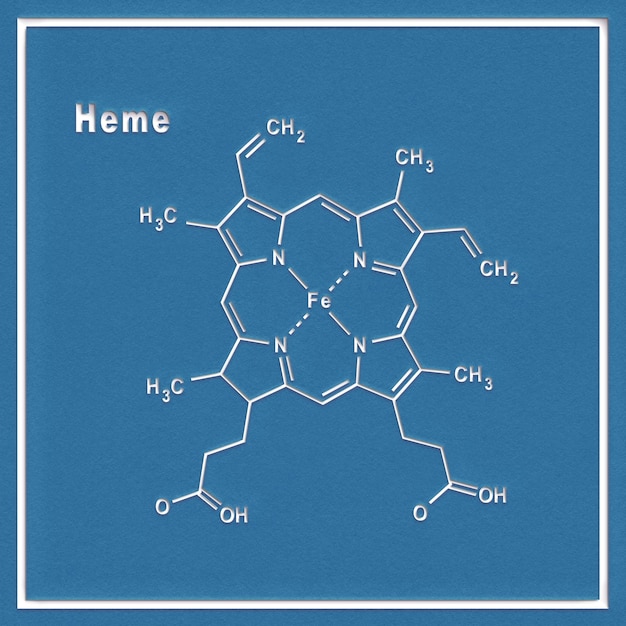 Molécule d'hème Formule chimique structurale sur fond blanc