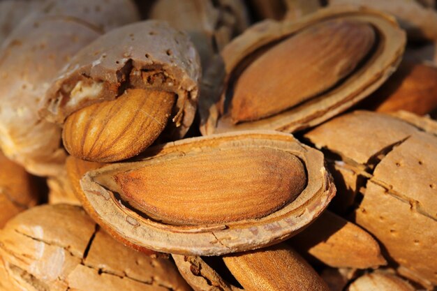 Moment de la récolte des amandes amandes cassées