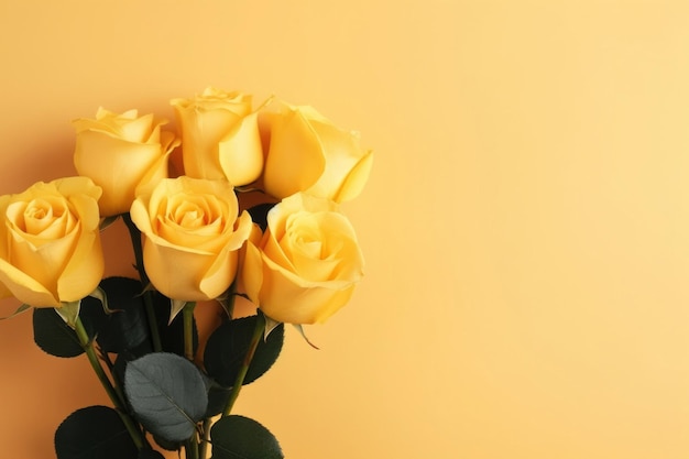 Des moments de floraison étonnants de roses dans un album visuel de fleurs colorées