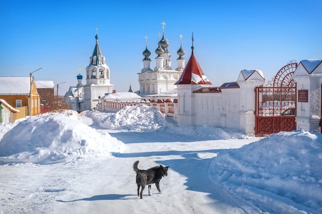 Monastère de la résurrection à Murom par une journée ensoleillée d'hiver et un chien noir