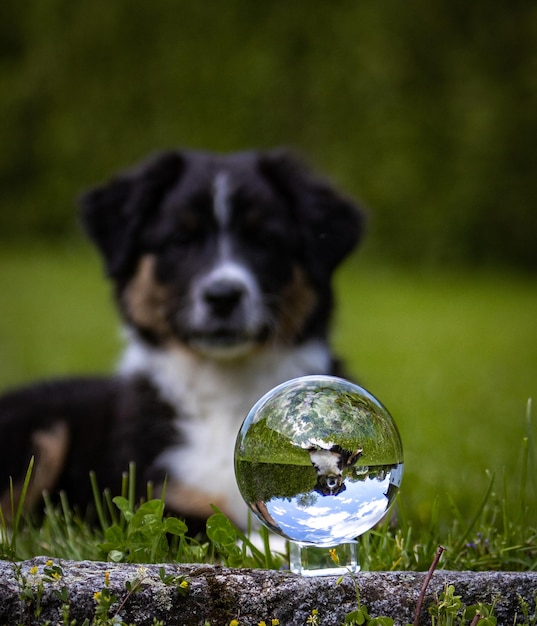 Le monde entier dans une boule de cristal