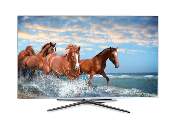 Moniteur de télévision grand écran moderne montrant des chevaux courant près de la mer isolé sur blanc