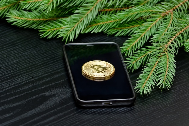 Monnaie Crypto Bitcoin Au Téléphone