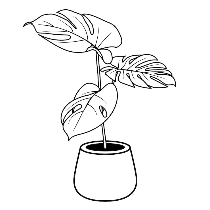 Photo monstera png autocollant à griffon noir et blanc avec une illustration à fond transparent