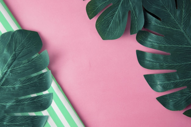 Monstera tropical laisse sur fond rose, espace copie pour le texte.