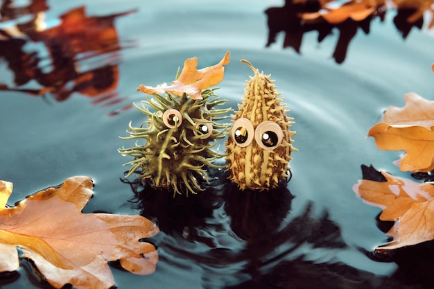 Monstres épineux faits à la main avec des yeux écarquillés Personnages de bricolage faits à la main dans une piscine d'eau avec des feuilles d'automne Idées créatives pour des jouets d'automne faits à la main à partir de matériaux naturels
