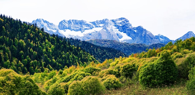 Mont Agepsta en Abkhazie, Caucase. Fond naturel avec chaîne de montagnes enneigées et forêt