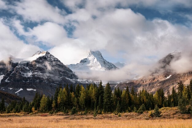 Mont Assiniboine avec nuage qui coule dans la forêt d'automne sur le parc provincial en Colombie-Britannique, Canada. Exposition longue