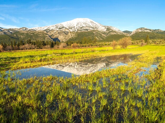 Le mont Dirfys couvert de neige se reflète dans l'eau sur un champ en Grèce