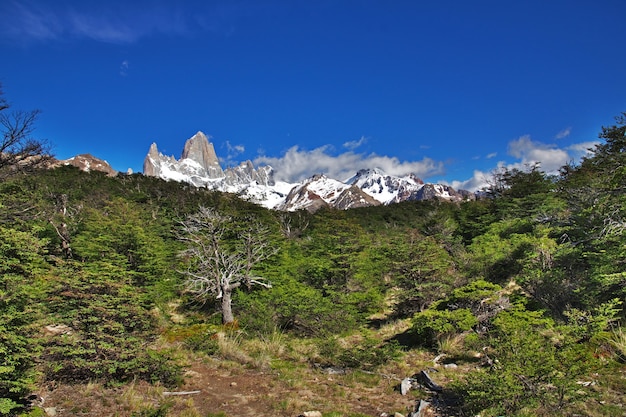 Photo mont fitz roy près d'el chalten en patagonie argentine