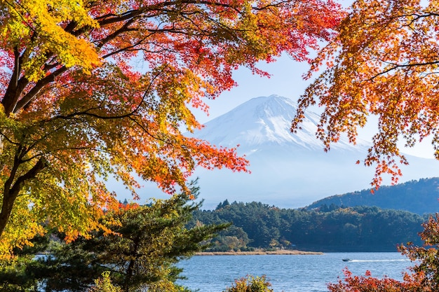 Mont Fuji en automne