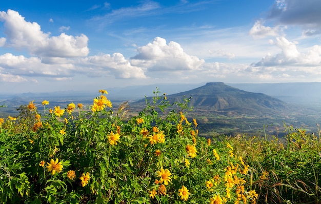 Mont Fuji dans la province de Loei, Thaïlande. This's Mountain ressemble au mont Fuji au Japon