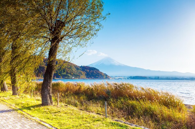 Le mont Fuji et le lac