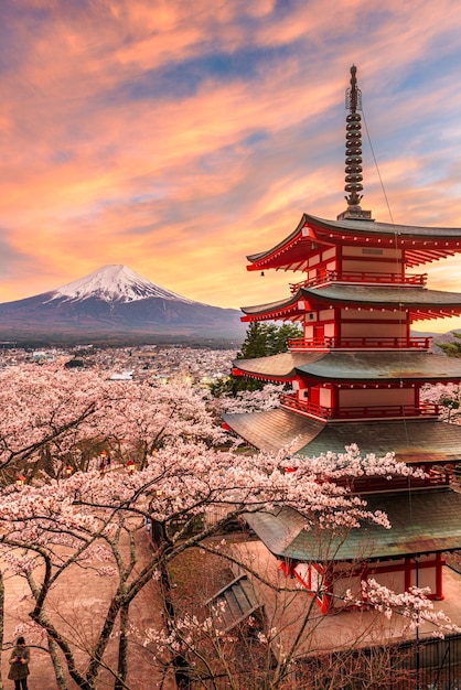 Mont Fuji et pagode de la paix au printemps