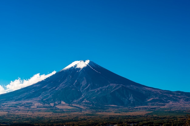 Mont Fuji vue de la pagode rouge