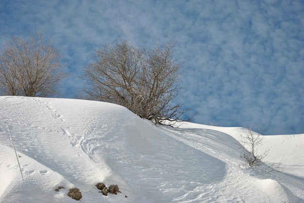 Mont Hermon avec de la neige. La station de ski. Israël