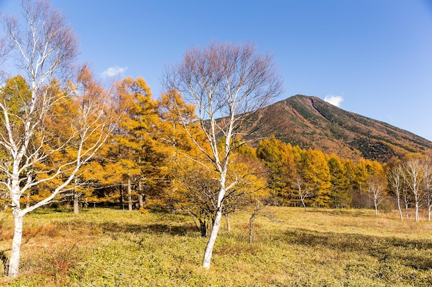 Mont Nantai en automne