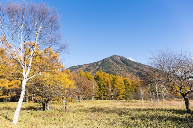 Mont Nantai en automne