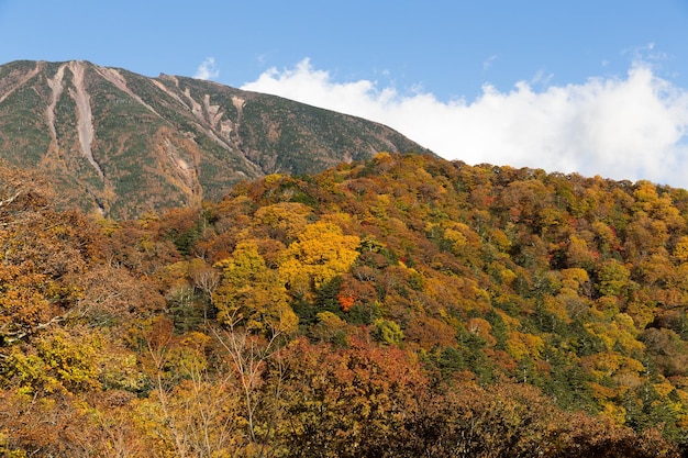 Mont Nantai et belle forêt