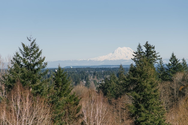 Mont Rainier au loin Beau paysage printanier