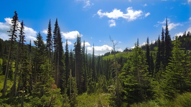 Mont Rainier