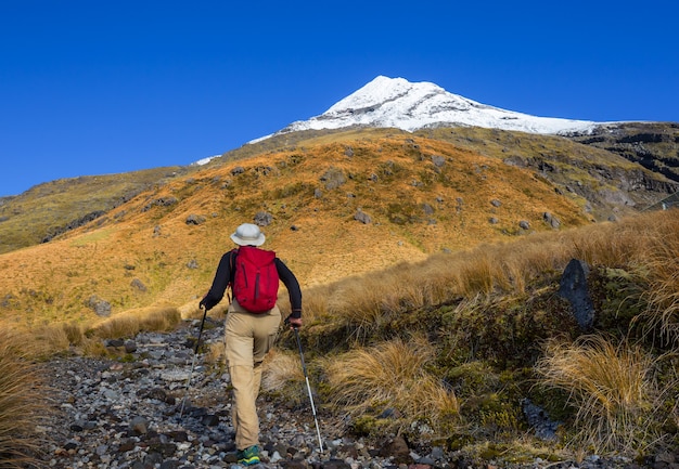 Mont Taranaki / Mont Egmont dans le parc national d'Egmont, île du Nord, Nouvelle-Zélande. Beaux paysages naturels