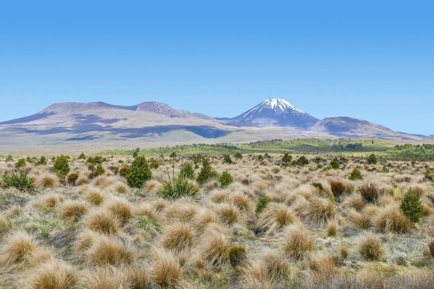 Le mont Tongariro en Nouvelle-Zélande