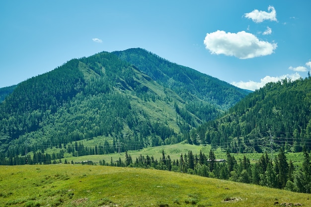 Montagne Altaï. Vallée de Chuisky Katyn