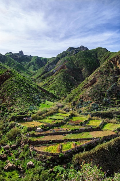 Montagne d'Anaga dans l'île de Tenerife Espagne Canaries