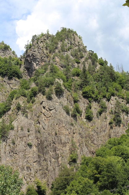 Une montagne avec des arbres dessus