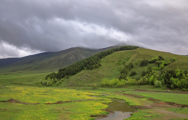 Montagne d'arbres verts sous un ciel sombre