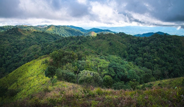 Photo montagne en arrière-plan le matin. paysage naturel en thaïlande.