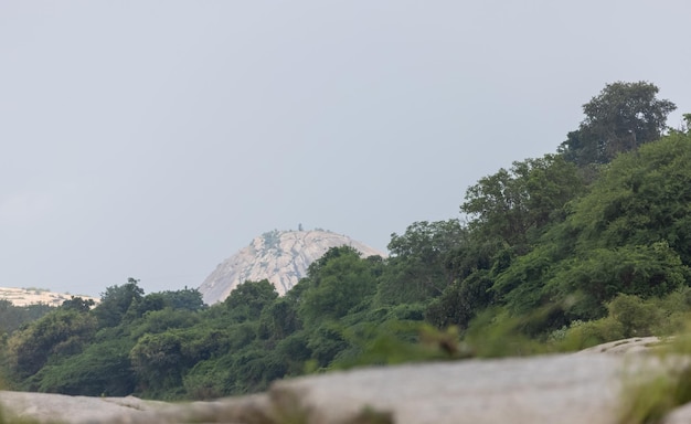 Une montagne en arrière-plan