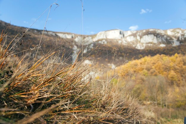 Montagne de Beljanica en Serbie