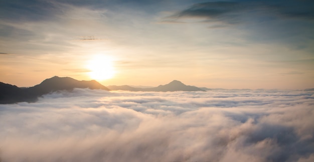 Montagne avec brume blanche au lever du soleil du matin, paysage naturel