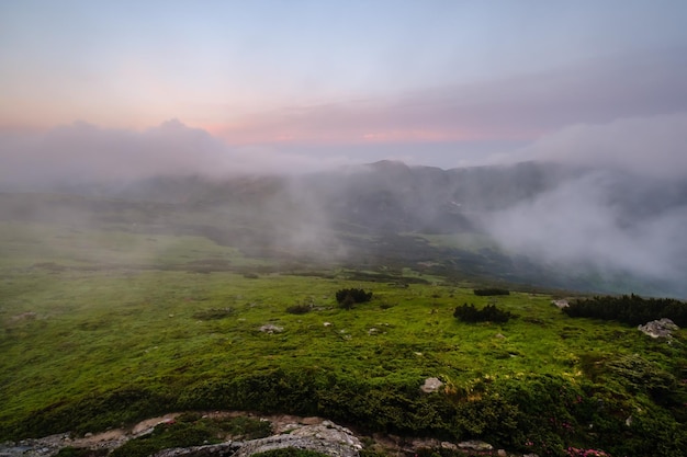 Montagne des Carpates nuageuse tôt le matin