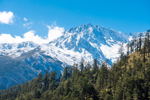 Montagne ciel bleu